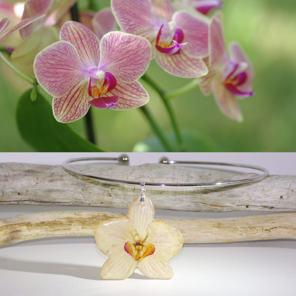 Un collier avec un pendentif orchidée, derrière on voit l'orchidée qui a produit la fleur