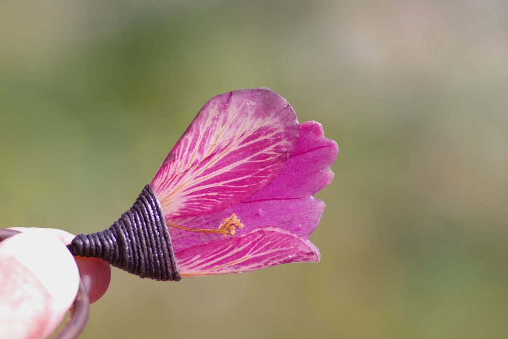 pendentif hibiscus véritable , couleur fuchsia montré en gros plan sur fond de nature