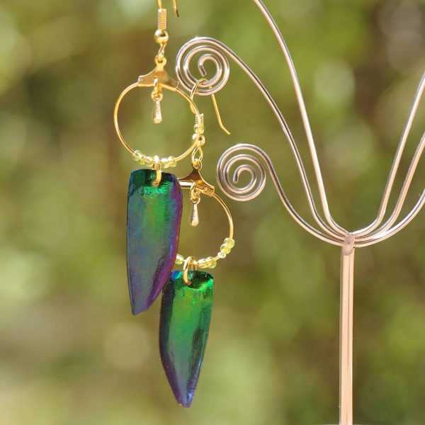boucles d'oreilles avec des élytres de scarabées verts aux reflets bleus et des anneaux dorés. Photographiés sur fond de nature.