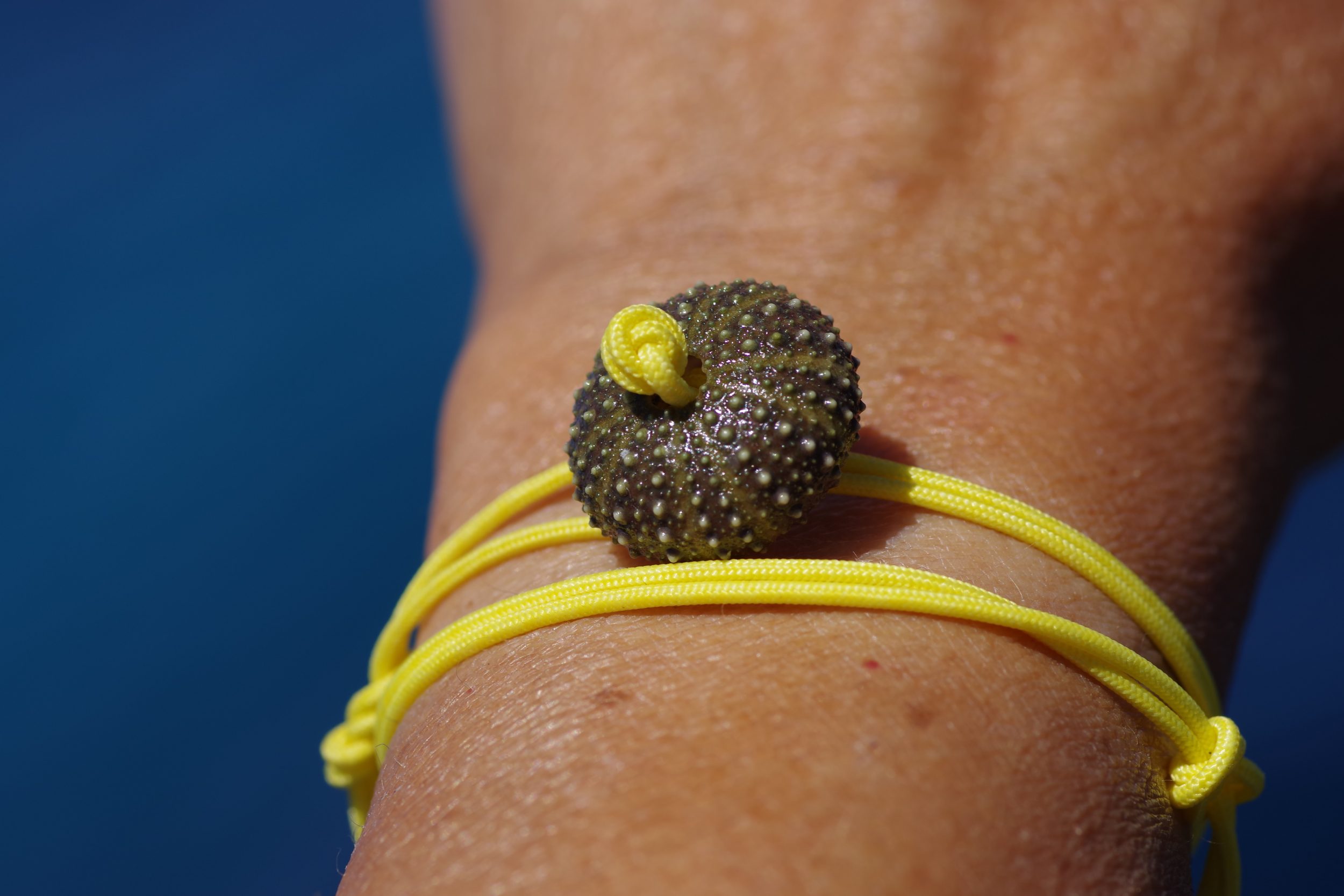 bracelet croisière jaune constitué d'un bout marin jaune qui fait deux fois le tour du poignet et d'un oursin vert, l'ursin sert de fermoir