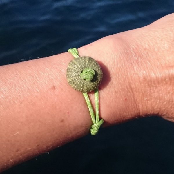 bracelet avec un ousrin vert et cordelette verte marine nouée. l'oursin sert de fermoir en passant dans une boucle de la cordelette