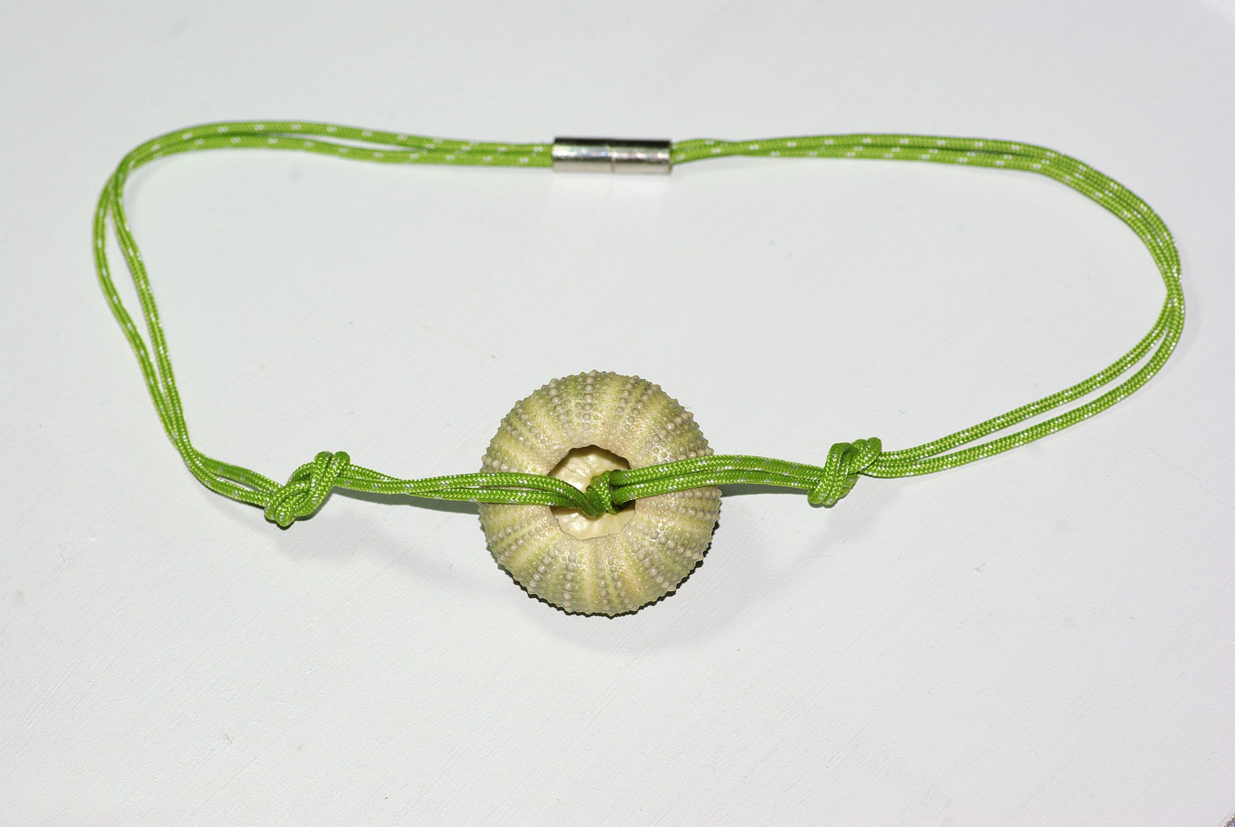 collier en cordelette marine verte nouée et pendentif oursin, on voit le dos de l'oursin
