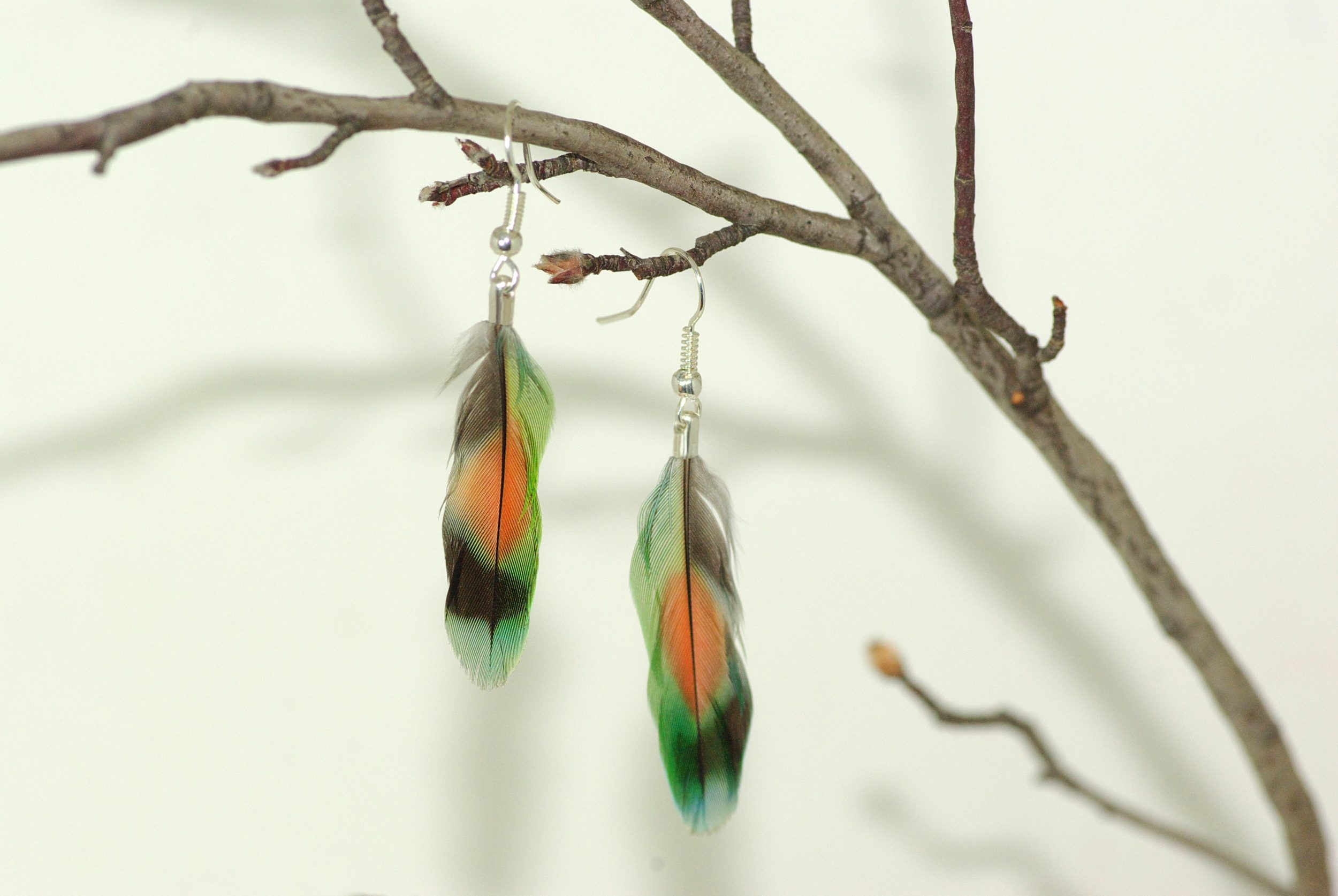 plume multicolore : tache rouge entourée de vert, bleu et noir, montage minimaliste en boucles d'oreiles, orésenté accroché à une branche