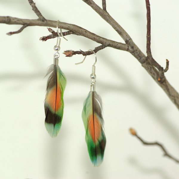 plume multicolore : tache rouge entourée de vert, bleu et noir, montage minimaliste en boucles d'oreiles, orésenté accroché à une branche