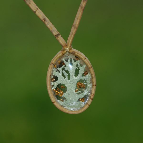 Collier en liège avec un pendentif en verre renfermant u morceau de lichen