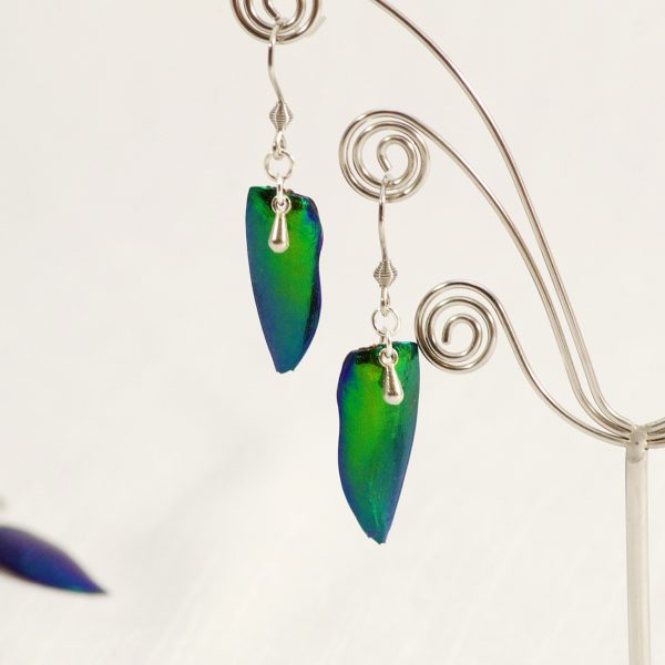 Boucles d'oreilles scarabées vetrs à reflets métallisés bleu verts avec de petites gouttes argentées