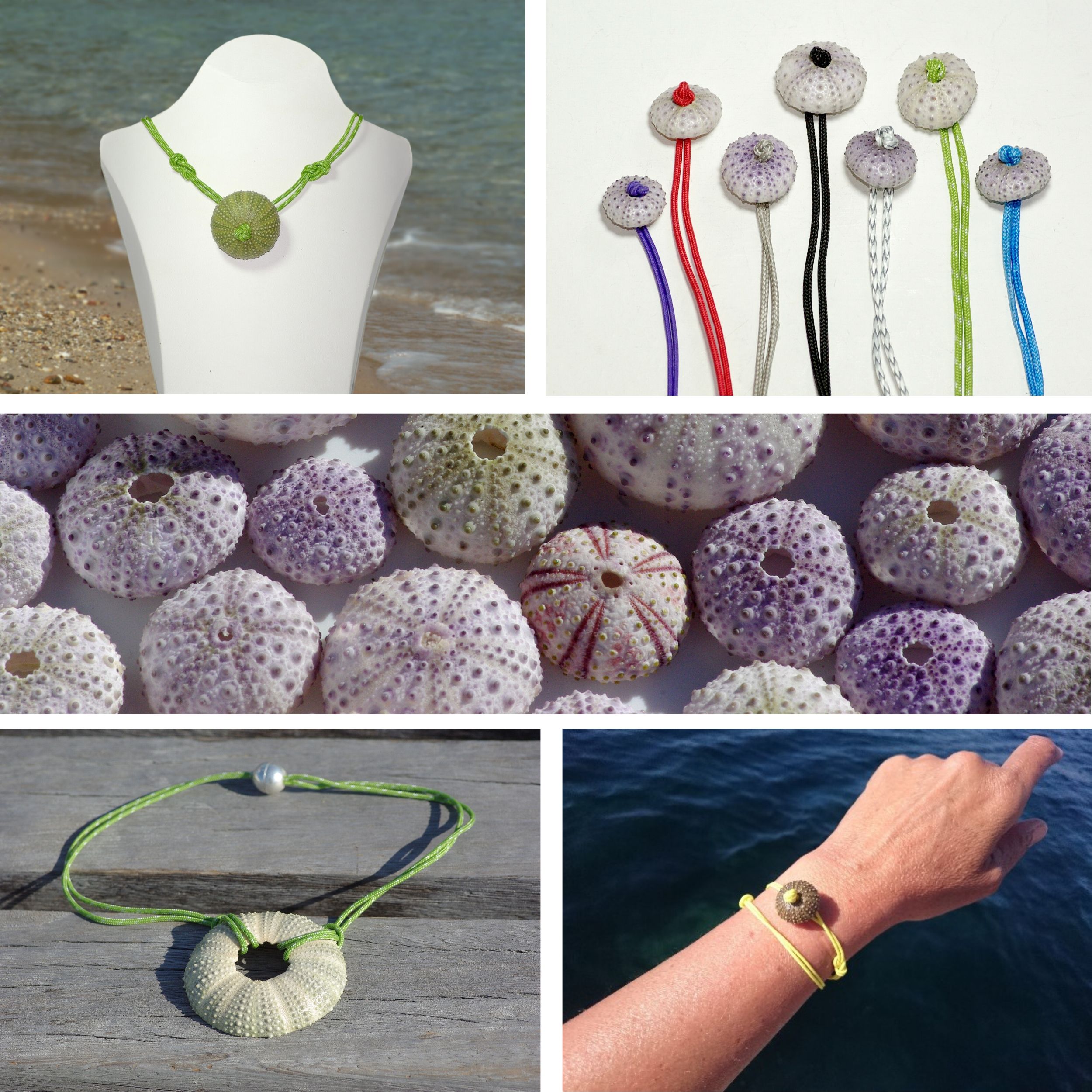 composition de photos d'oursins et bijoux réalisés avec des oursins