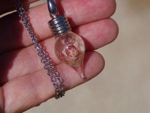 fiole de verre en forme de goutte renfermant des mini coquillages roses aux graphismes naturels étonnants, chaîne en inox