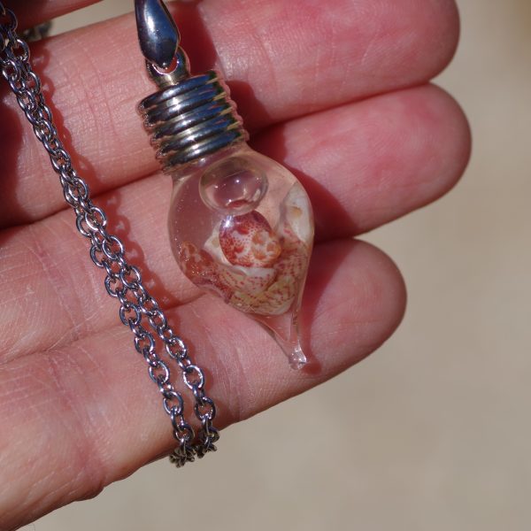 fiole de verre en forme de goutte renfermant des mini coquillages roses aux graphismes naturels étonnants, chaîne en inox