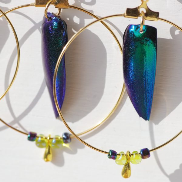 boucles d'oreilles dorées : grands anneaux dans les quels pendent des élytres bleu-vert de scarabée. Les couleurs sont chattoyantes avec des reflets métalliques. Petites perles de verre assorties.