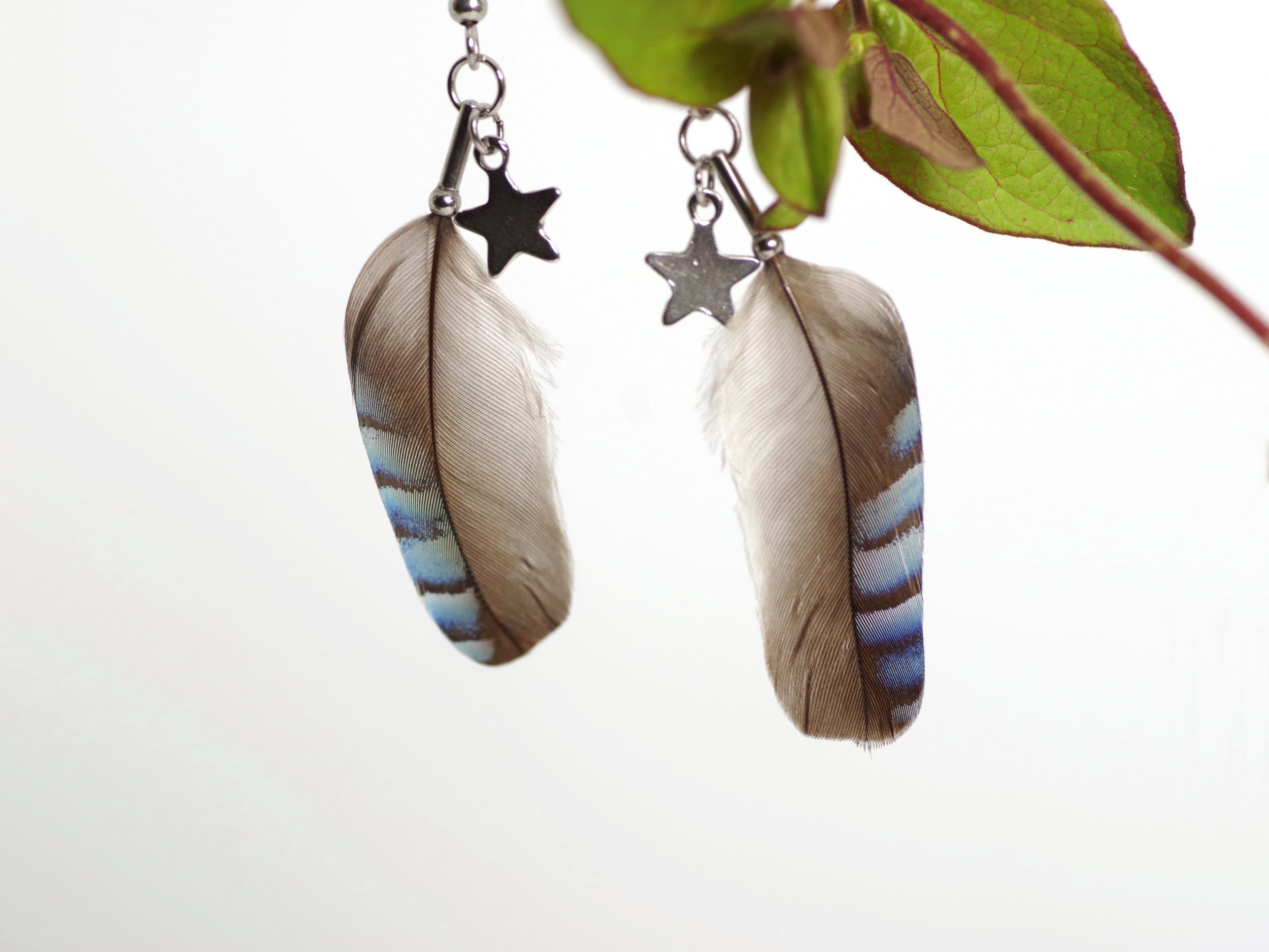 boucles d'oreilles en plumes de geai rayées bleues, une petite étoile en inox accompagne la plume.