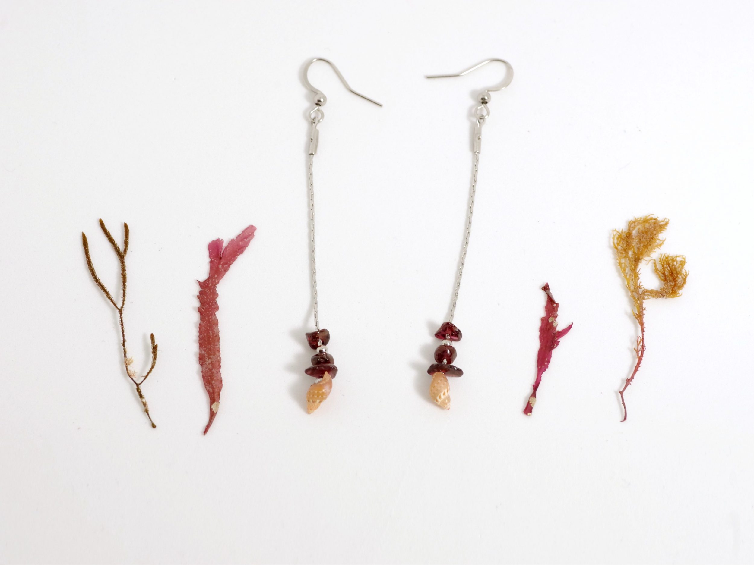 boucles d'oreilles longues, minimalistes, avec une fine chaîne d'inox au bout de la quelle un petit coquillage rose zébré est associé à quelques pierres gemmes grenats