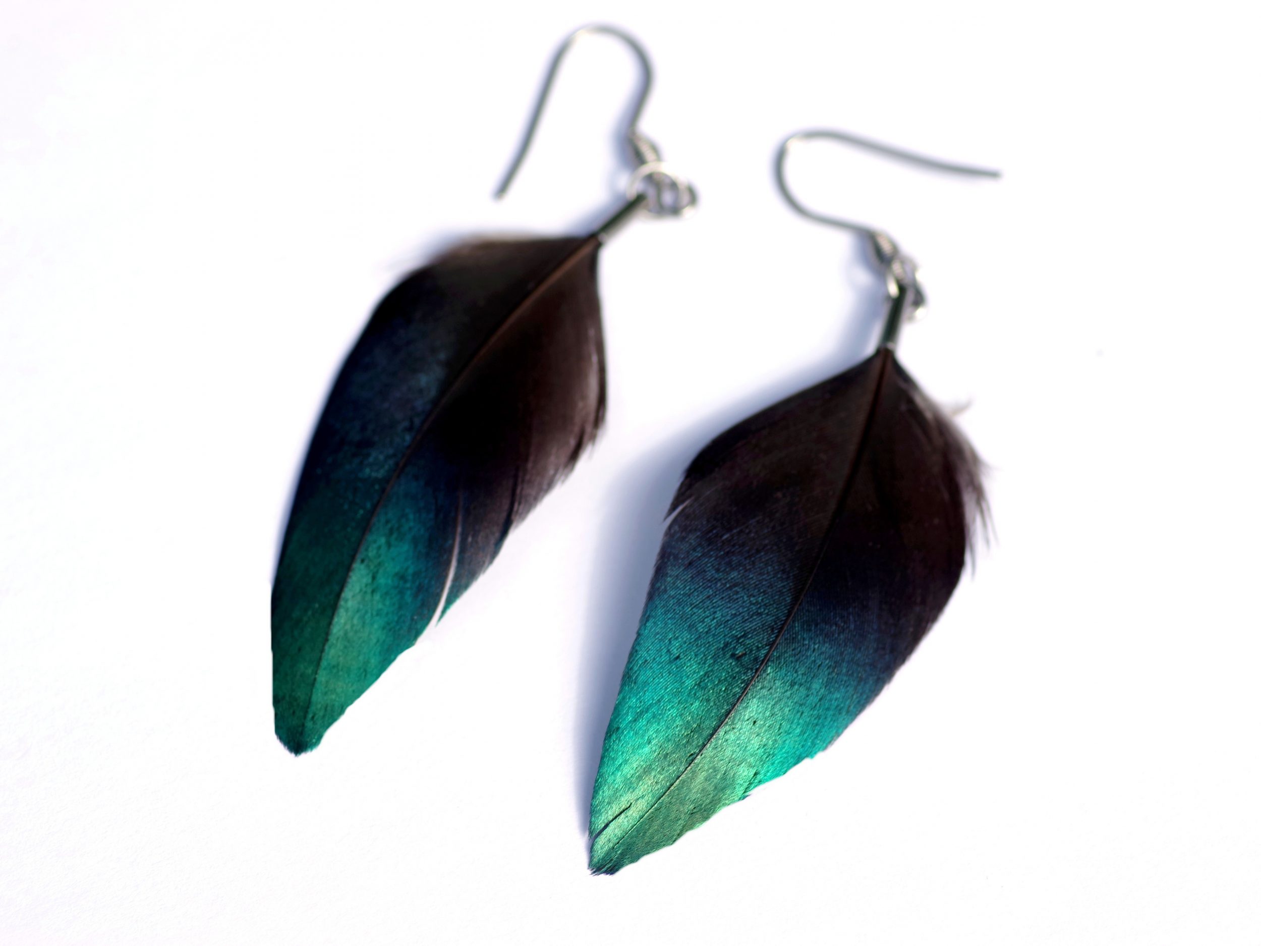 boucles d'oreilles en plumes naturelles de lophophore, bleu-vert très brillantes