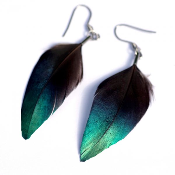 boucles d'oreilles en plumes naturelles de lophophore, bleu-vert très brillantes