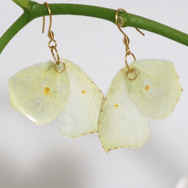 boucles d'oreilles en ailes de papillon "citron" jaune très pale