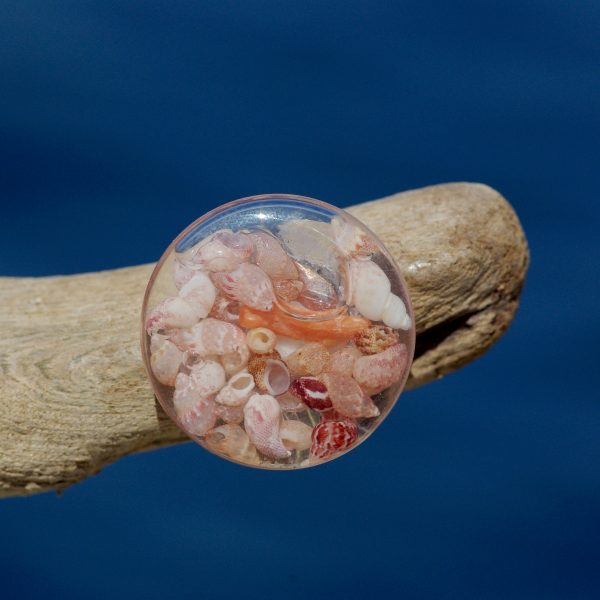 bagues Océan : disque de verre et mini coquillages
