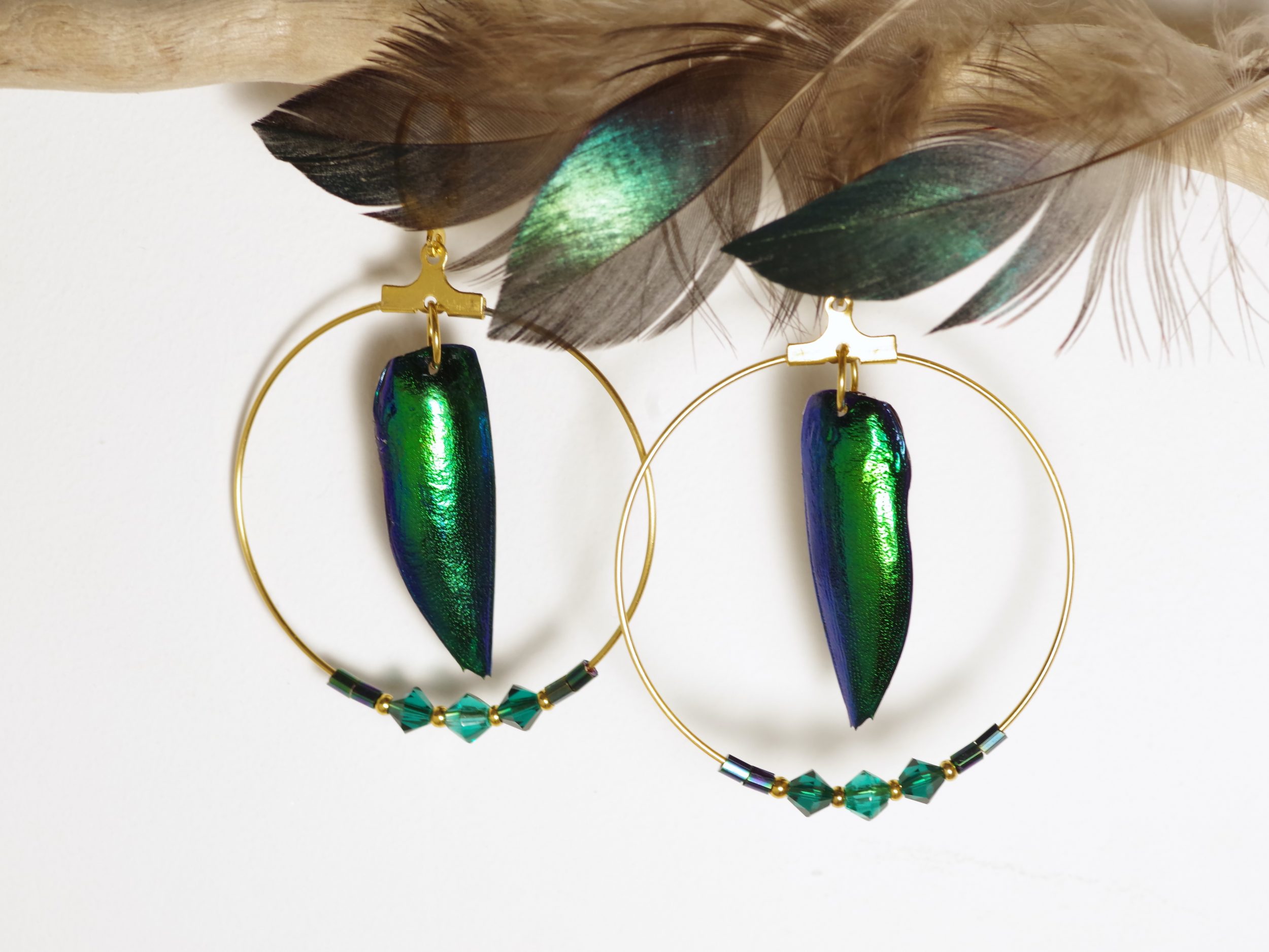 boucles d'oreilles avec des élytres de scarabée vert bleuté, reflets brikllants métalliques, et anneaux dorés