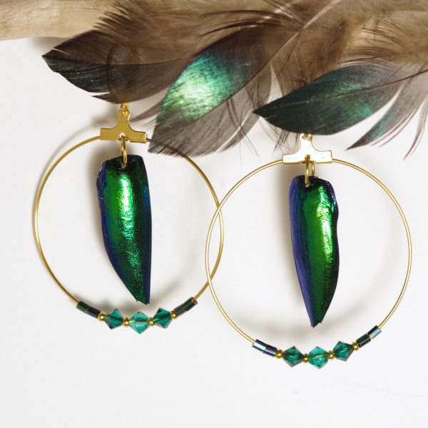boucles d'oreilles avec des élytres de scarabée vert bleuté, reflets brikllants métalliques, et anneaux dorés