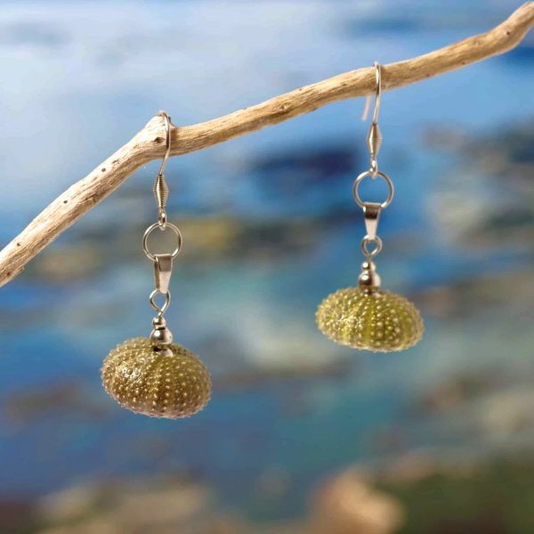 Boucles d'oreilles oursins et inox Arielle