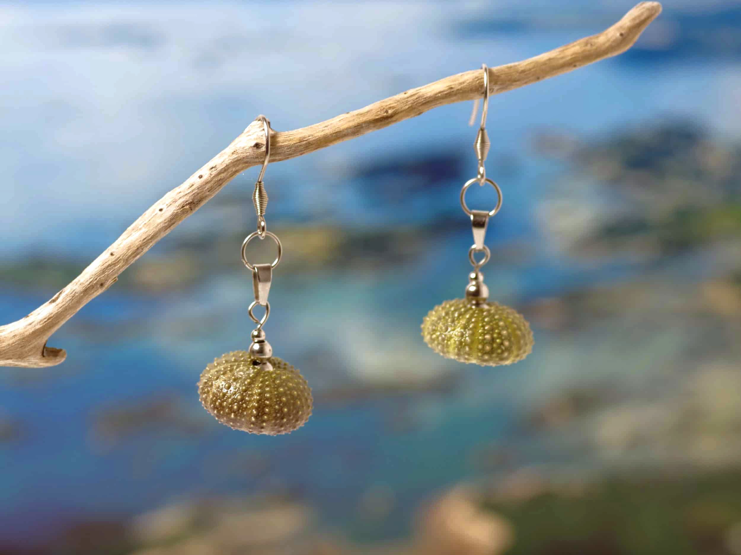 Boucles d'oreilles oursins et inox Arielle