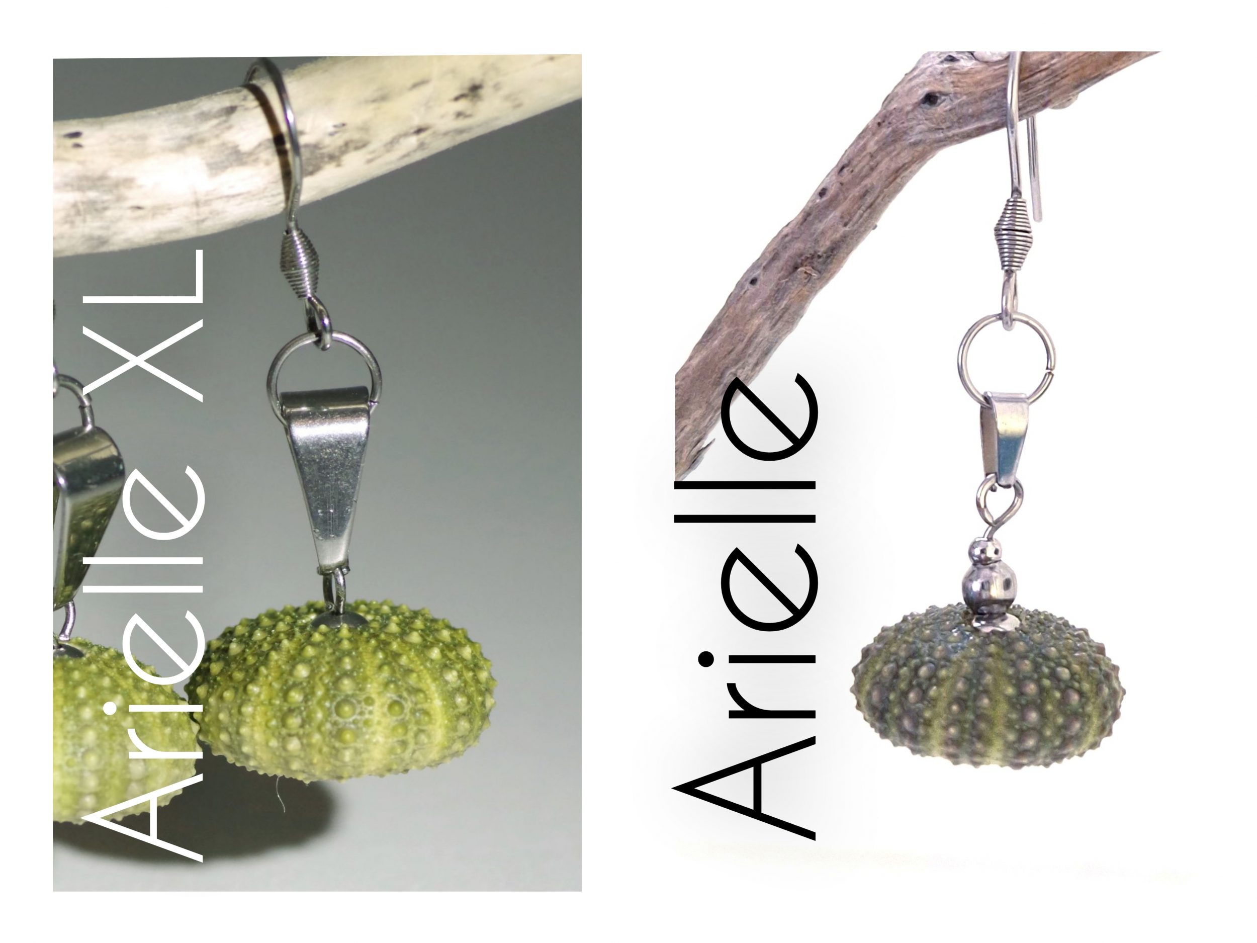 Boucles d'oreilles oursins et inox Arielle – Image 2