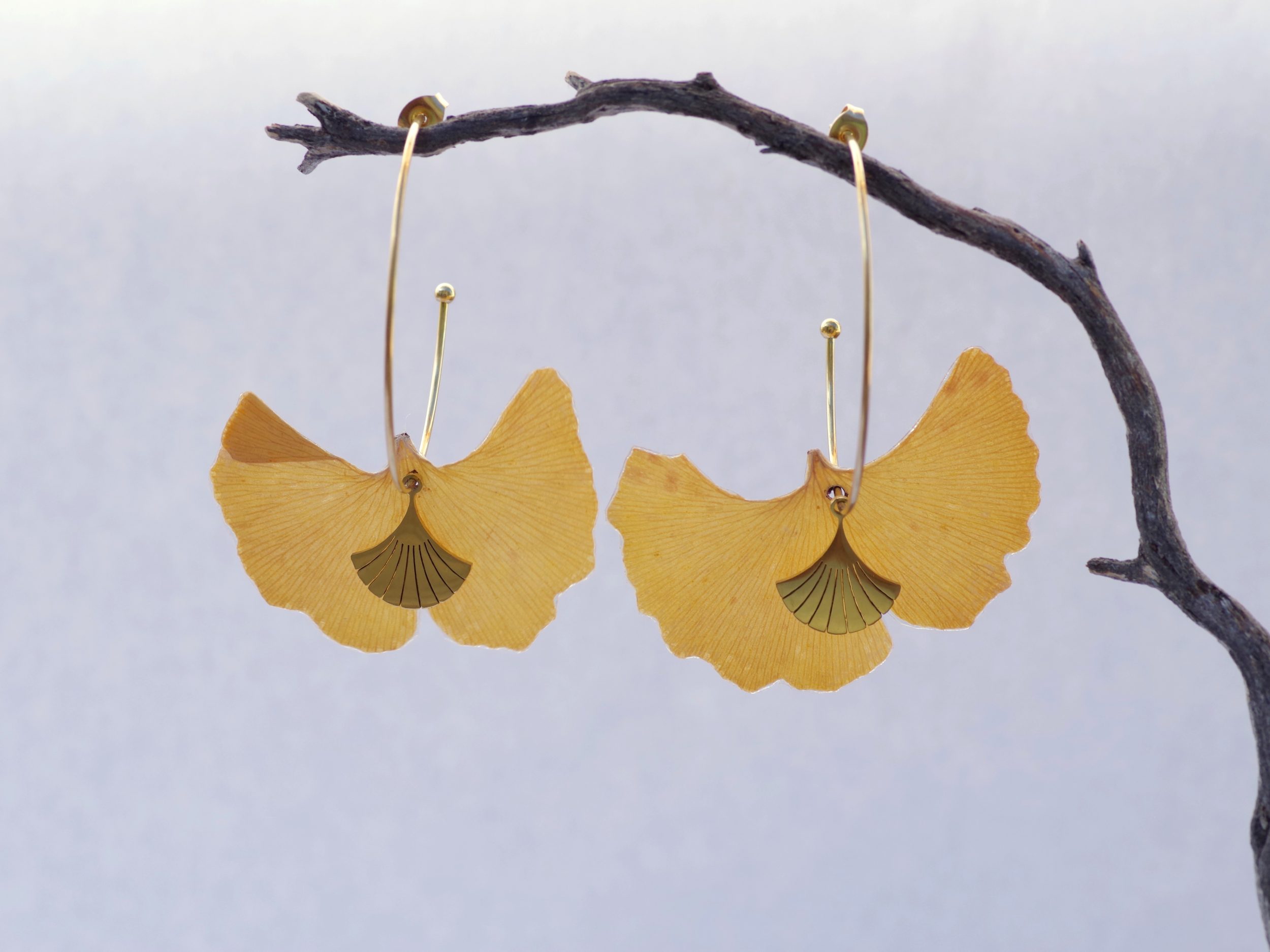 feuilles de ginkgo jaunes en boucles d'oreilles sur des grandes créoles dorées