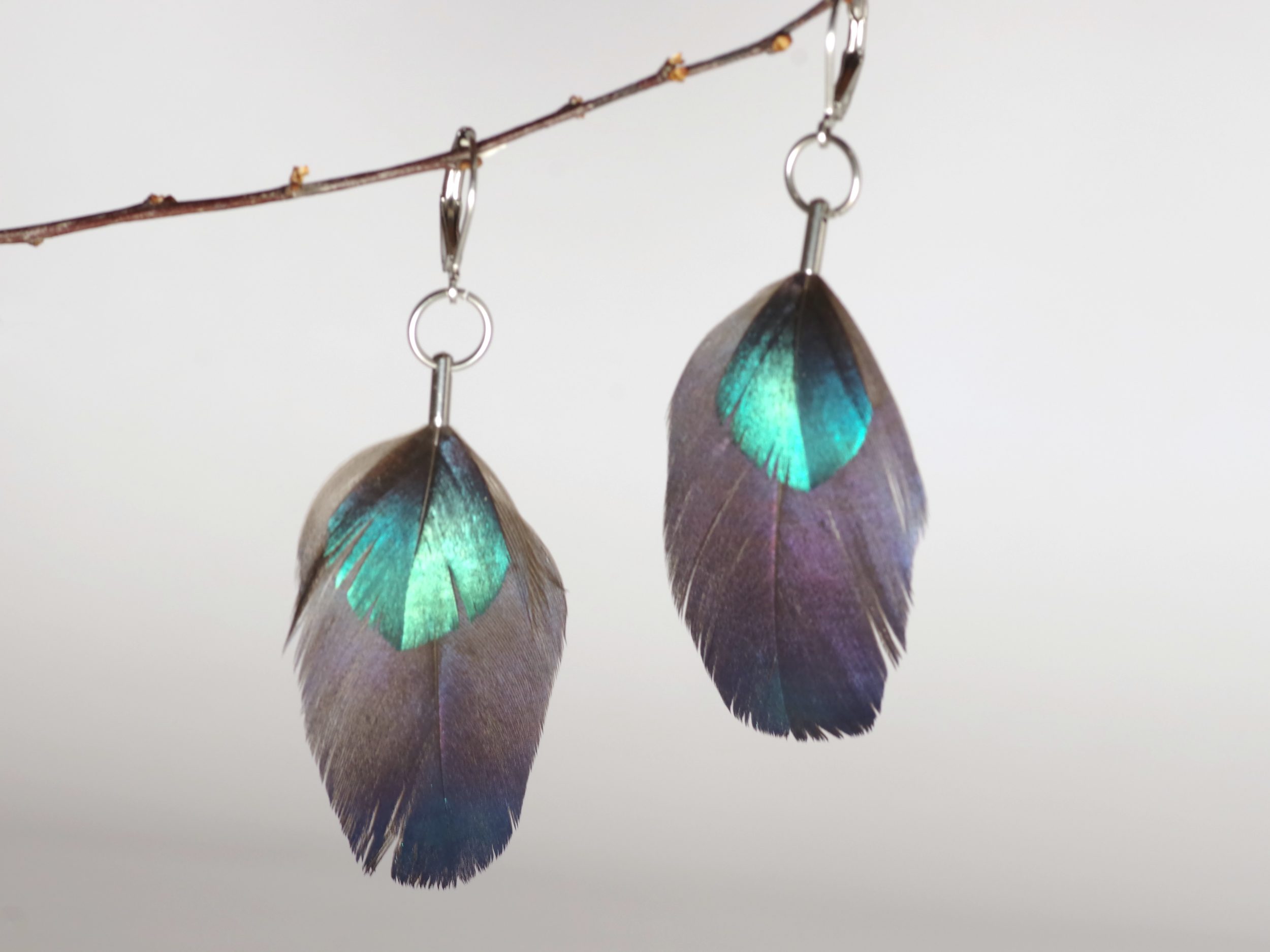 boucles d'oreilles avec deux plumes à reflets bleus, brillant. Montées simplement sur un petit anneau et des crochets inox