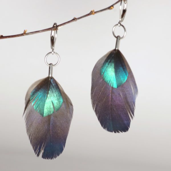 boucles d'oreilles avec deux plumes à reflets bleus, brillant. Montées simplement sur un petit anneau et des crochets inox