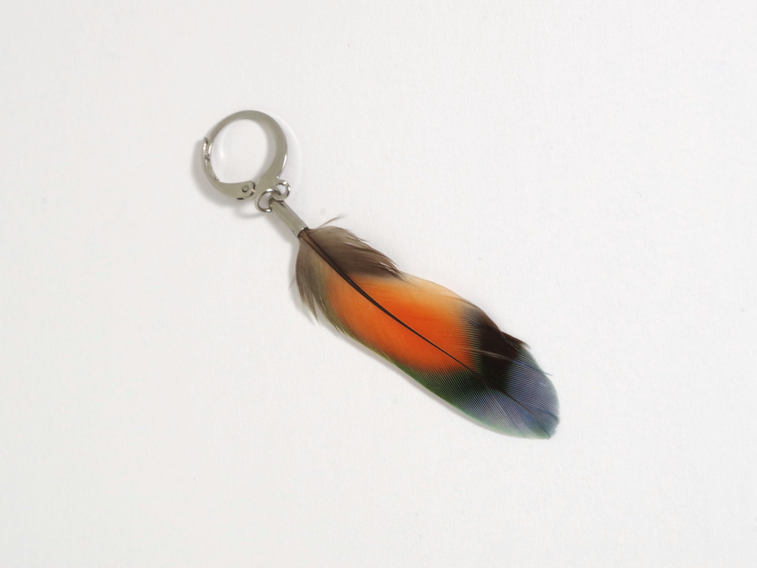 Boucle d'oreille unique, plume de lovebird multicolore. Bijou naturel et original pour homme ou femme,