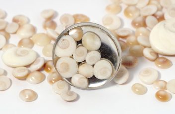 bague_ochji_petits-yeux-de-sainte-lucie (5)