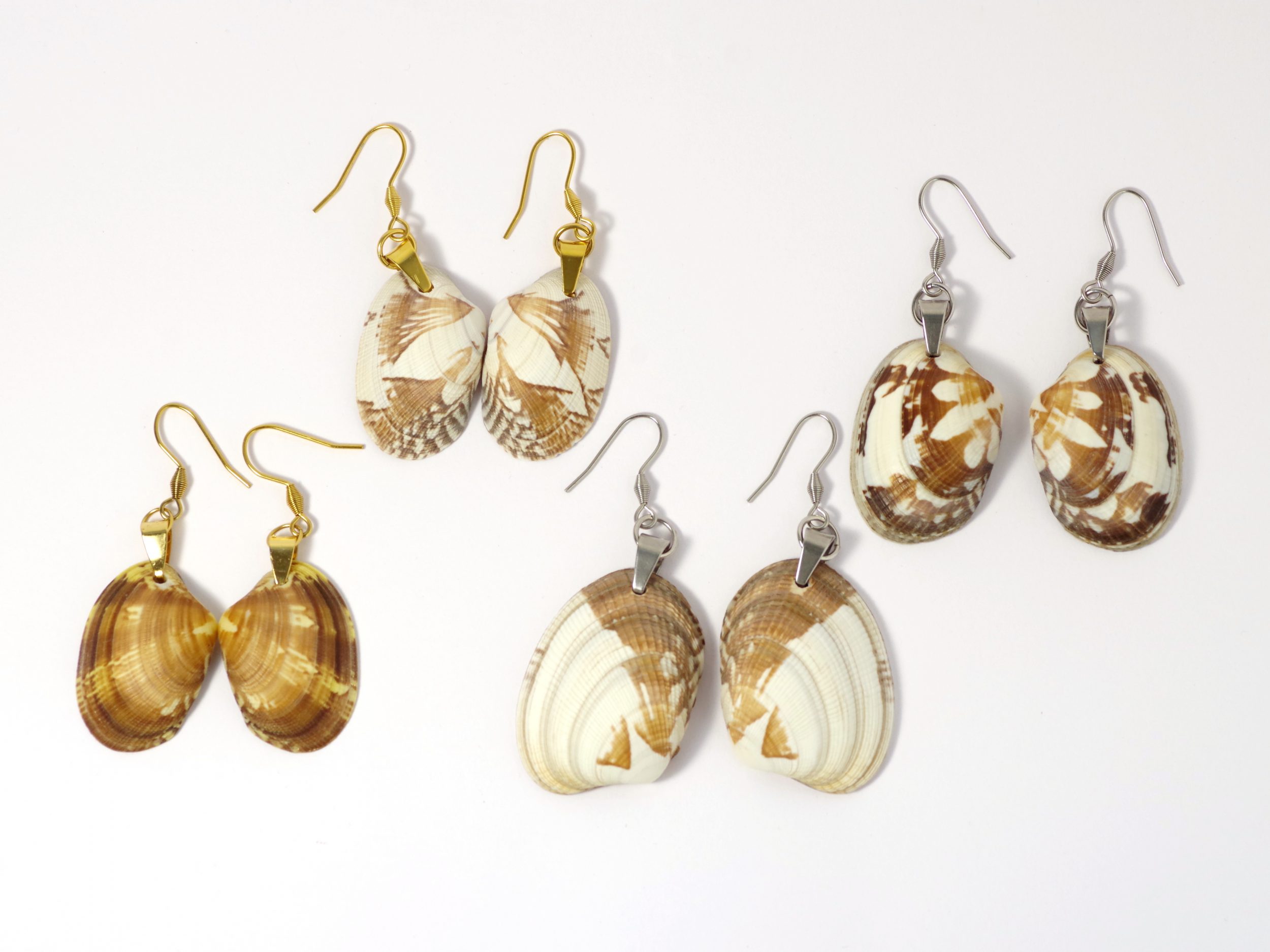 Colliers Jaï, belles palourdes au choix – Image 11