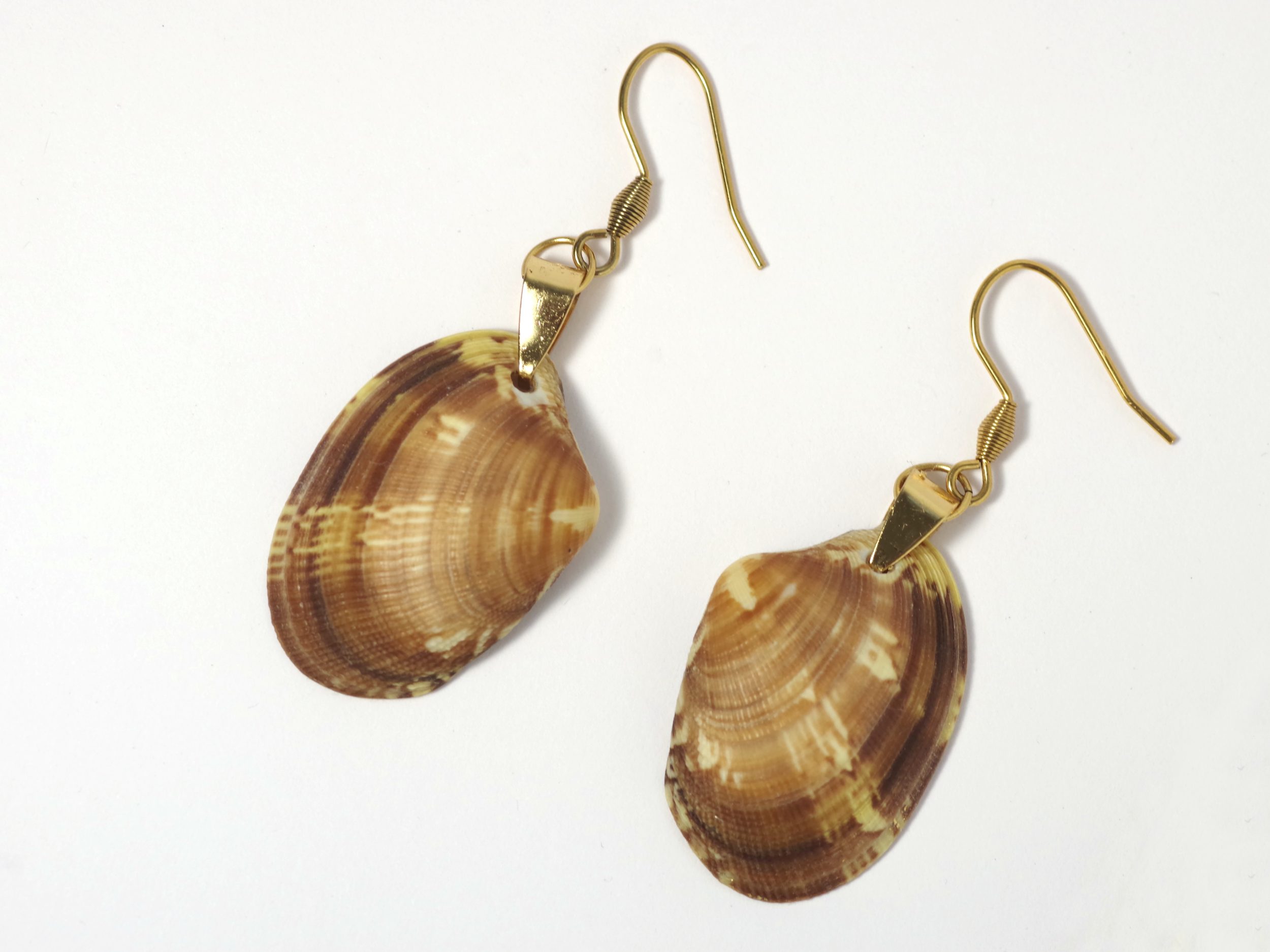 Boucles d'oreilles Jaï, palourdes et finitions au choix – Image 9