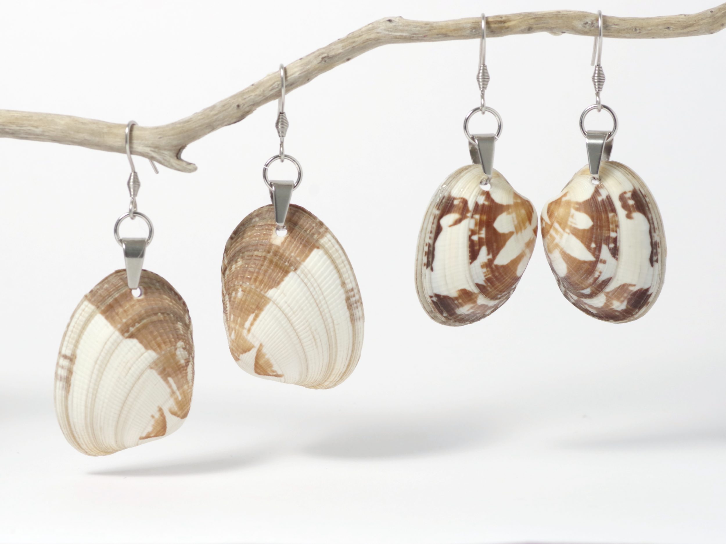 Boucles d'oreilles réalisées avec des palourdes aux très beaux dessins naturels. Plusieurs paires et finitions au choix.