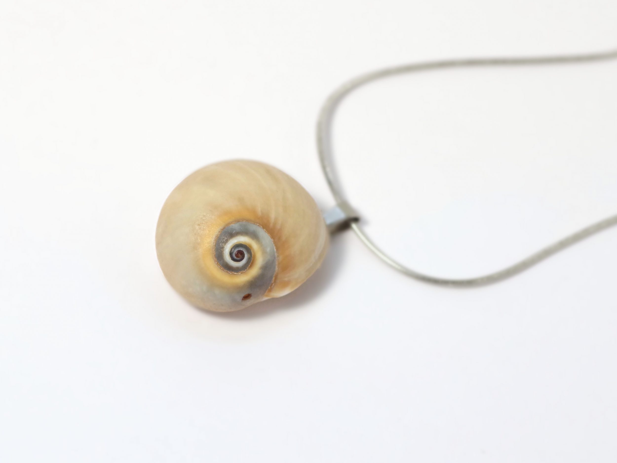 Collier Joséphine 2, coquille de natice – Image 2