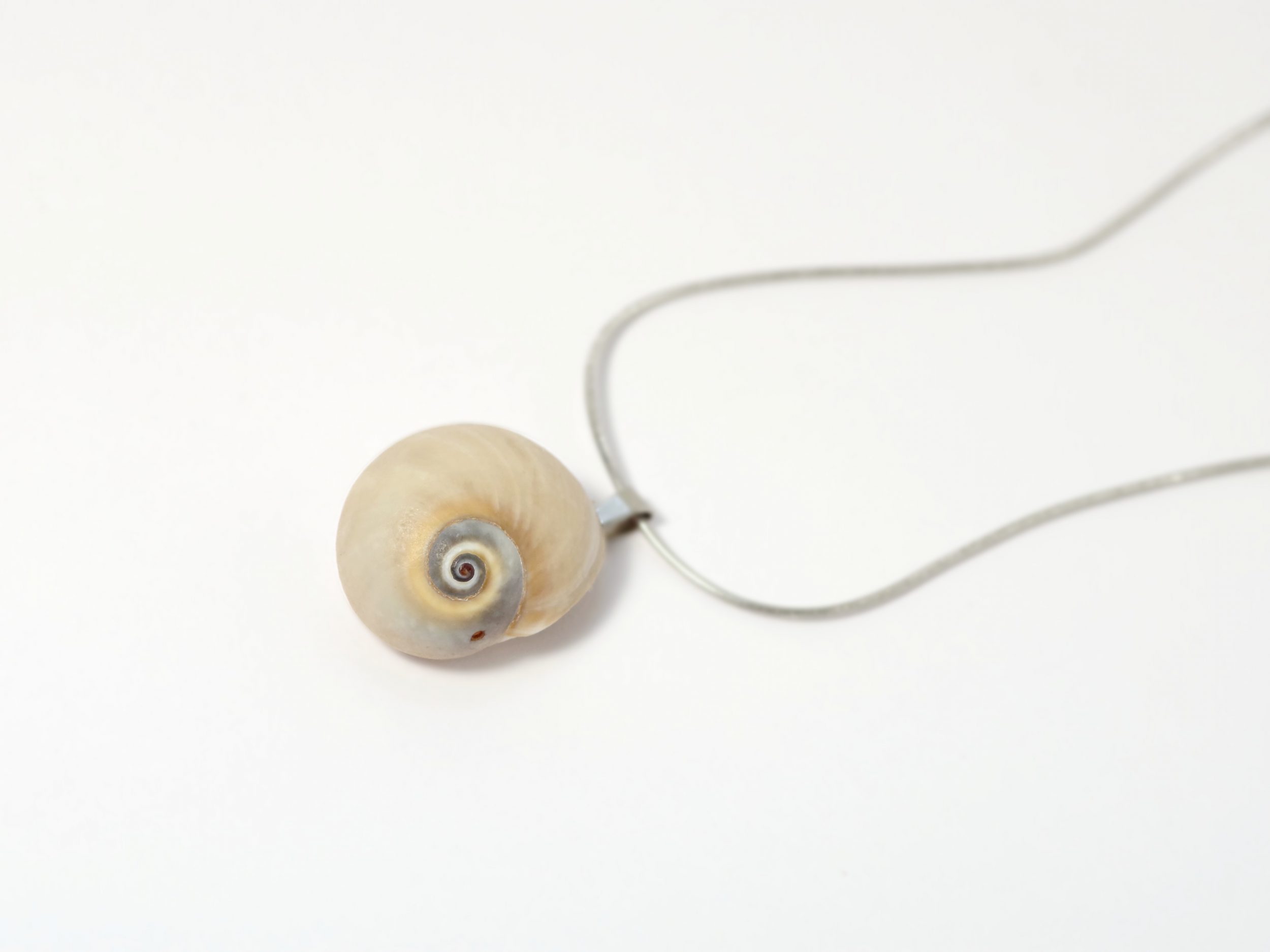 Collier Joséphine 2, coquille de natice – Image 3