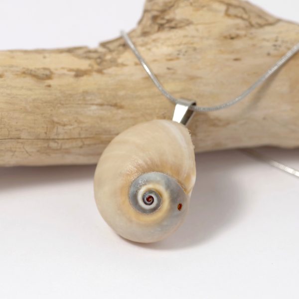 Une jolie coquille de natice à la spire très marquée pour un pendentif unique. Monté sur une chaîne en inox.