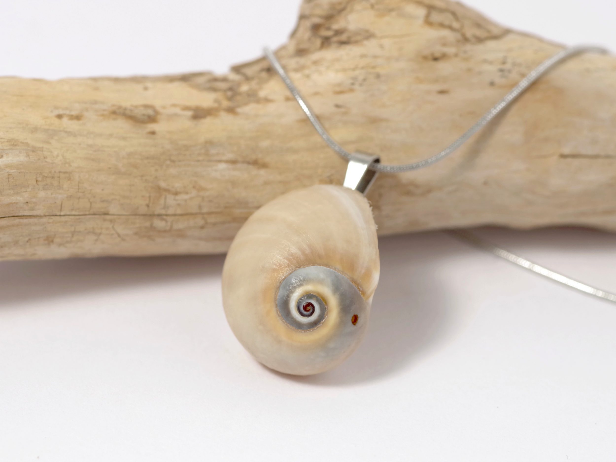 Une jolie coquille de natice à la spire très marquée pour un pendentif unique. Monté sur une chaîne en inox.