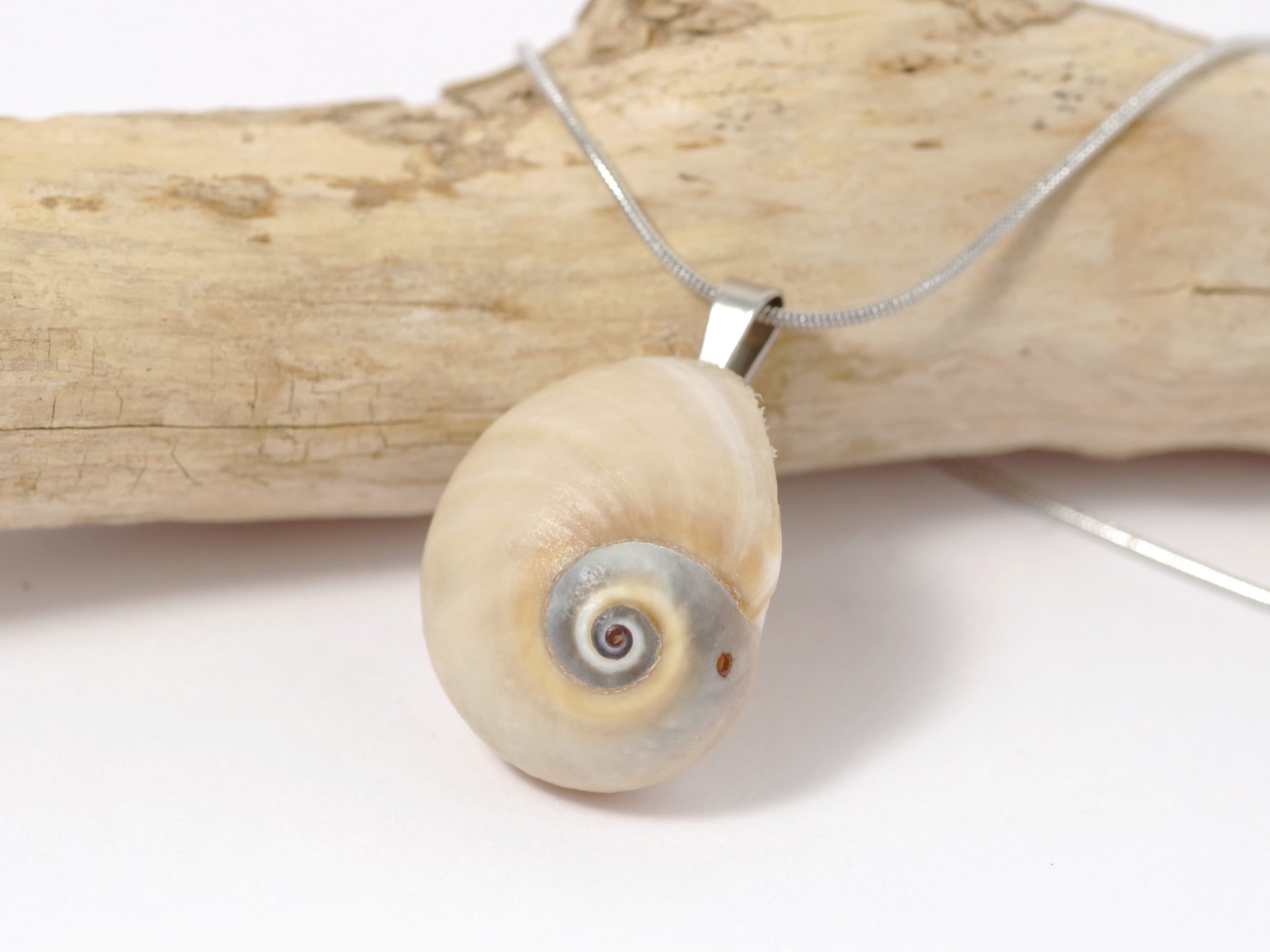 Collier Joséphine 2, coquille de natice – Image 4