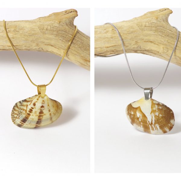 Pendentifs en belles palourdes aux dessins naturels. Chaînes inox. Plusieurs coquillages et finitions au choix doré ou argenté.