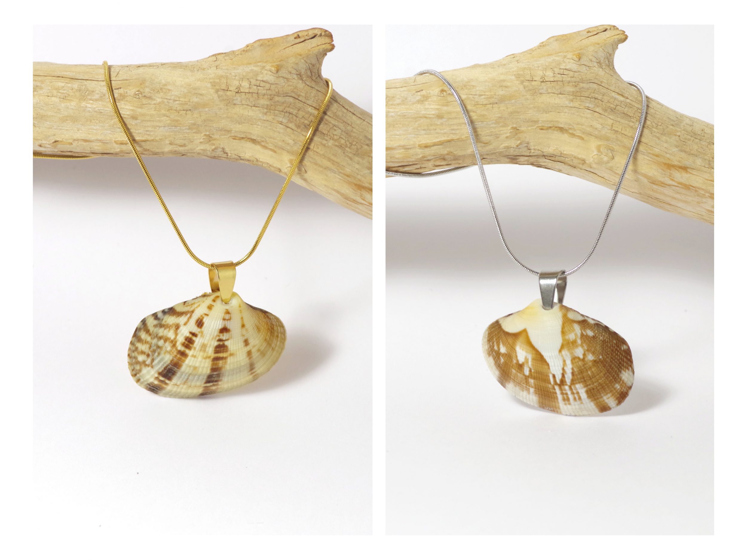 Pendentifs en belles palourdes aux dessins naturels. Chaînes inox. Plusieurs coquillages et finitions au choix doré ou argenté.