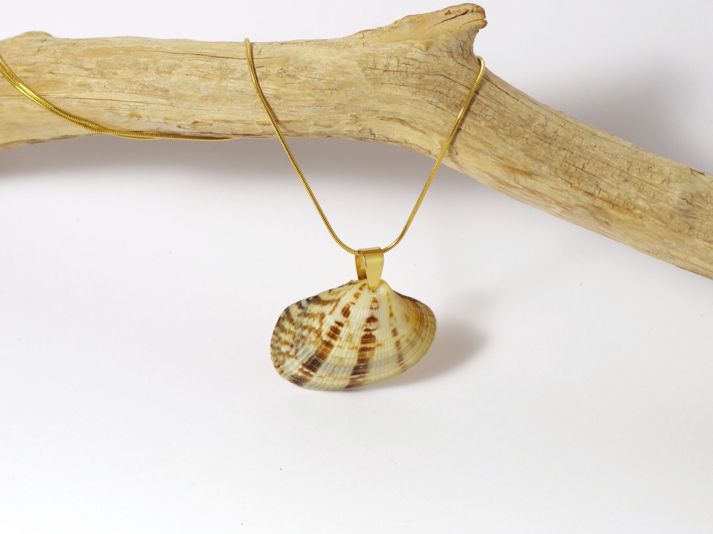 Colliers Jaï, belles palourdes au choix – Image 8