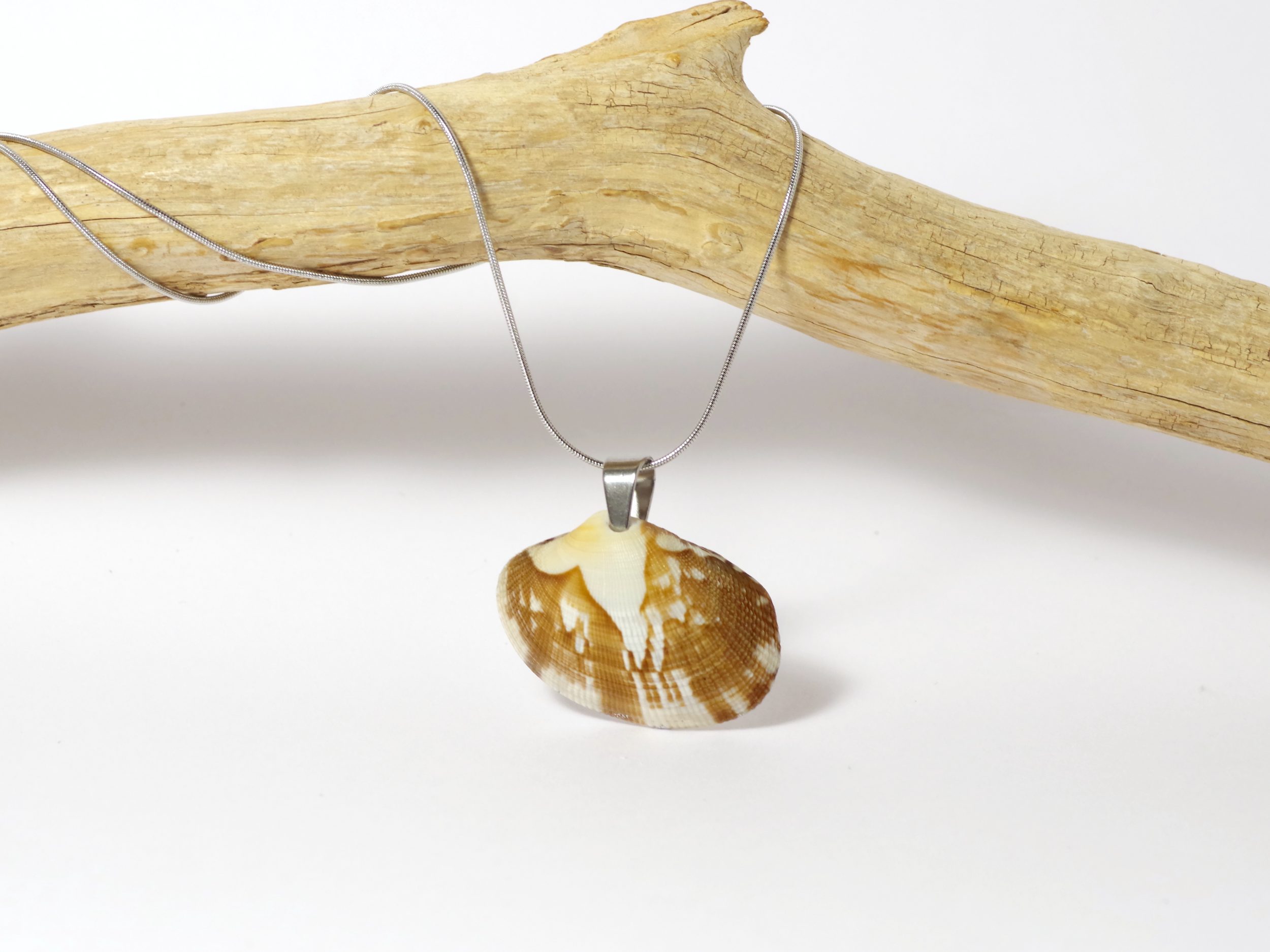 Colliers Jaï, belles palourdes au choix – Image 7