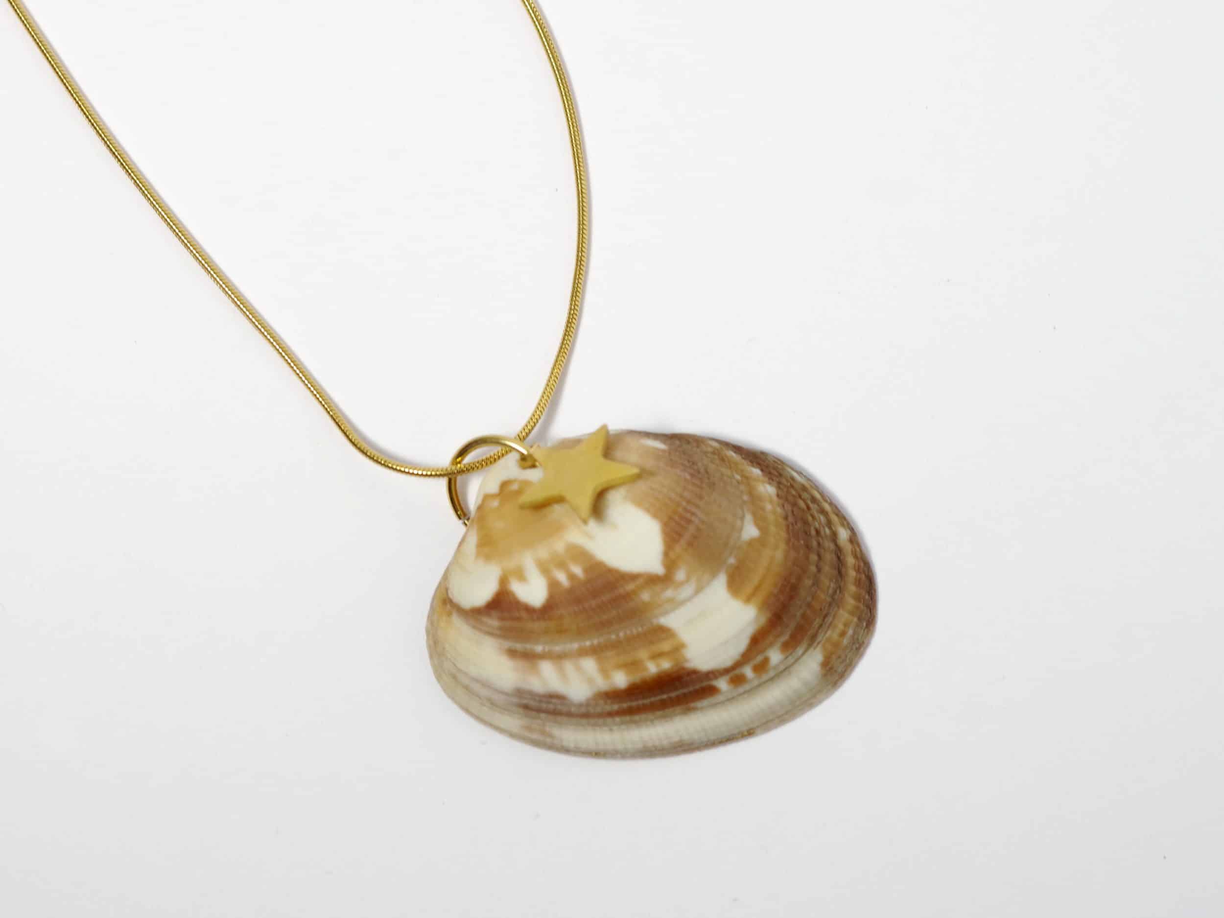 Colliers Jaï 2, palourde et étoile de mer – Image 8