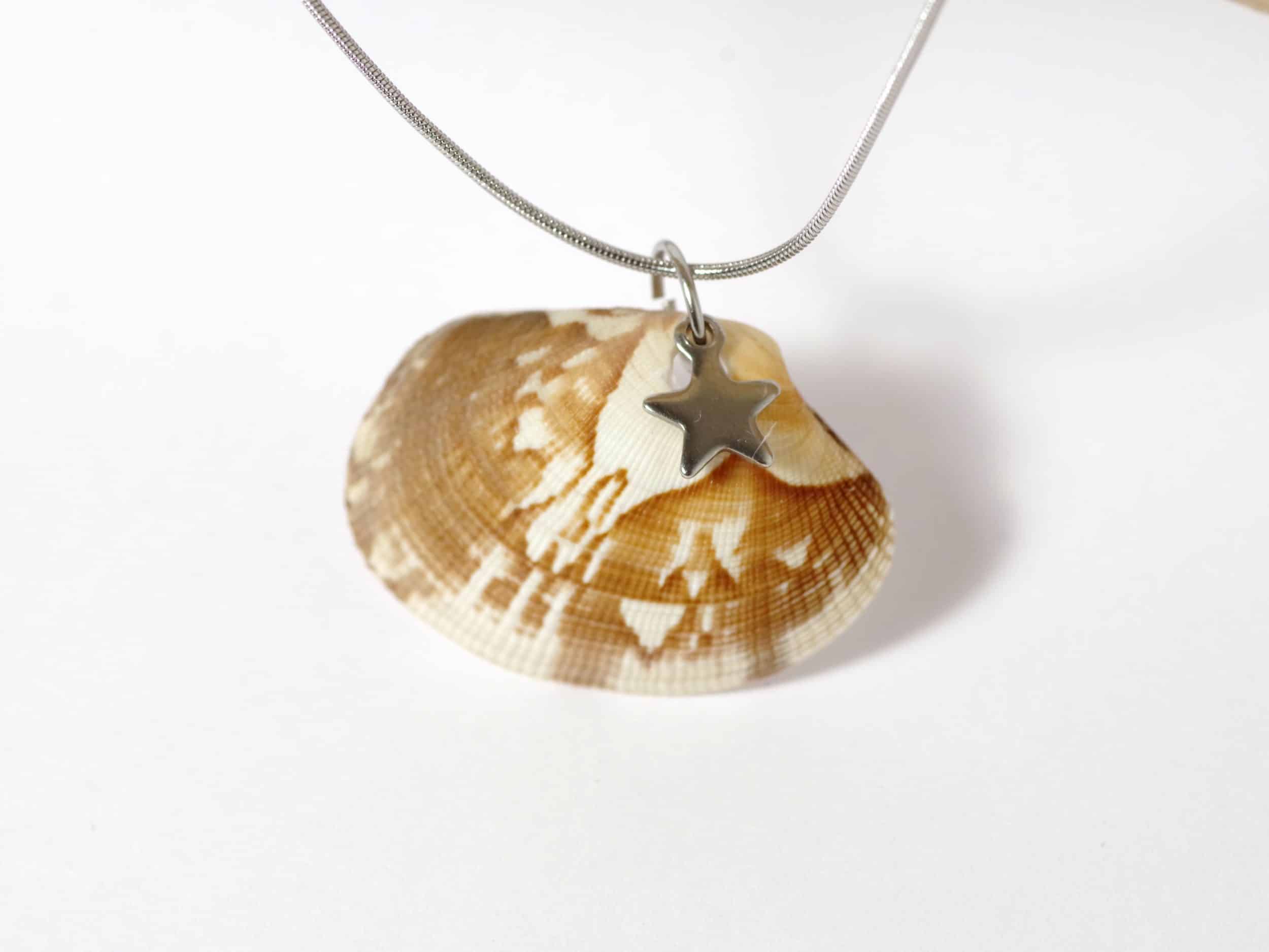 Colliers Jaï 2, palourde et étoile de mer – Image 7