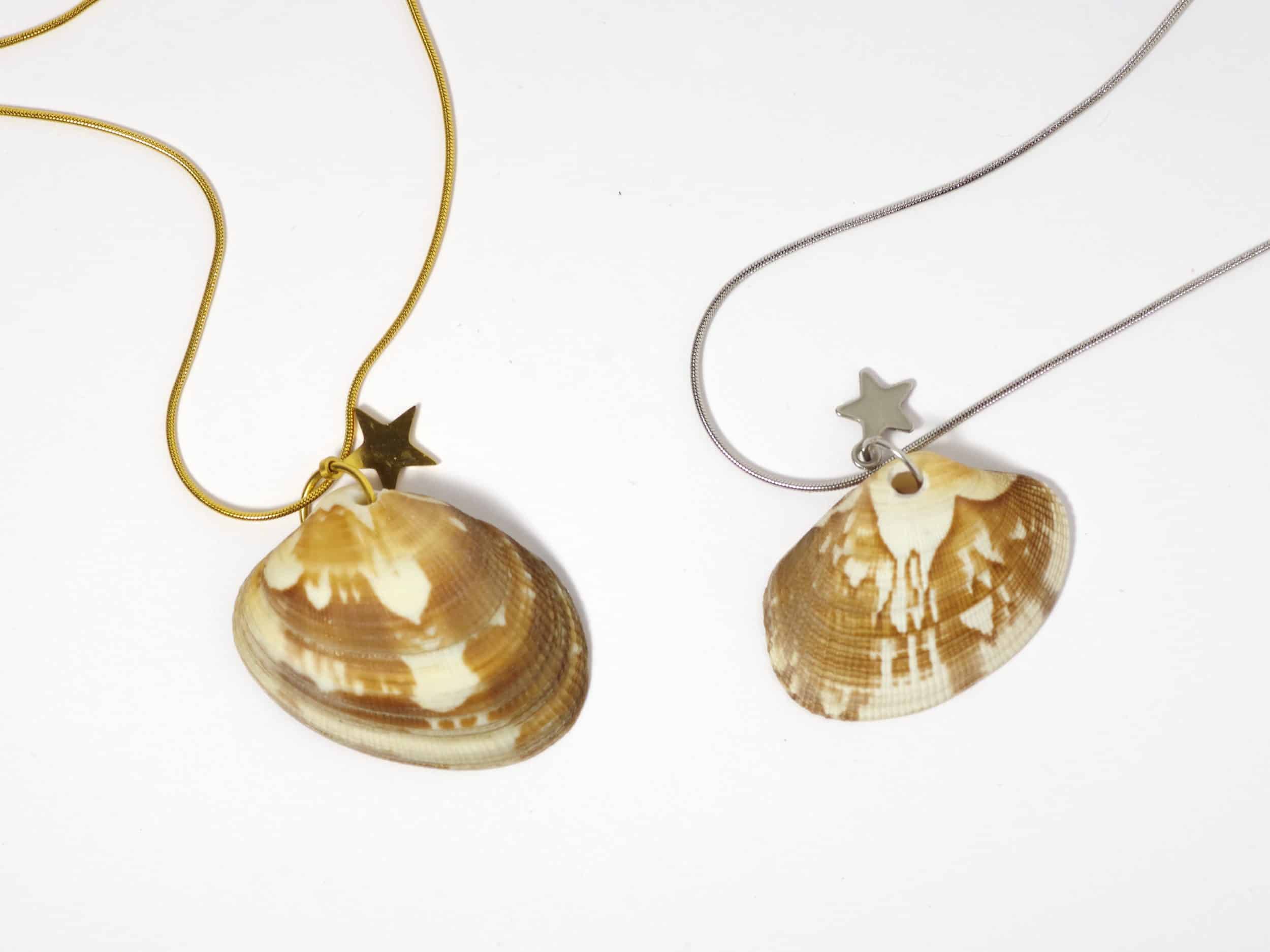 Palourde et étoile de mer associées pour un pendentif unique. Composez votre pendentif : coquillage au choix, étoile dorée ou argentée.