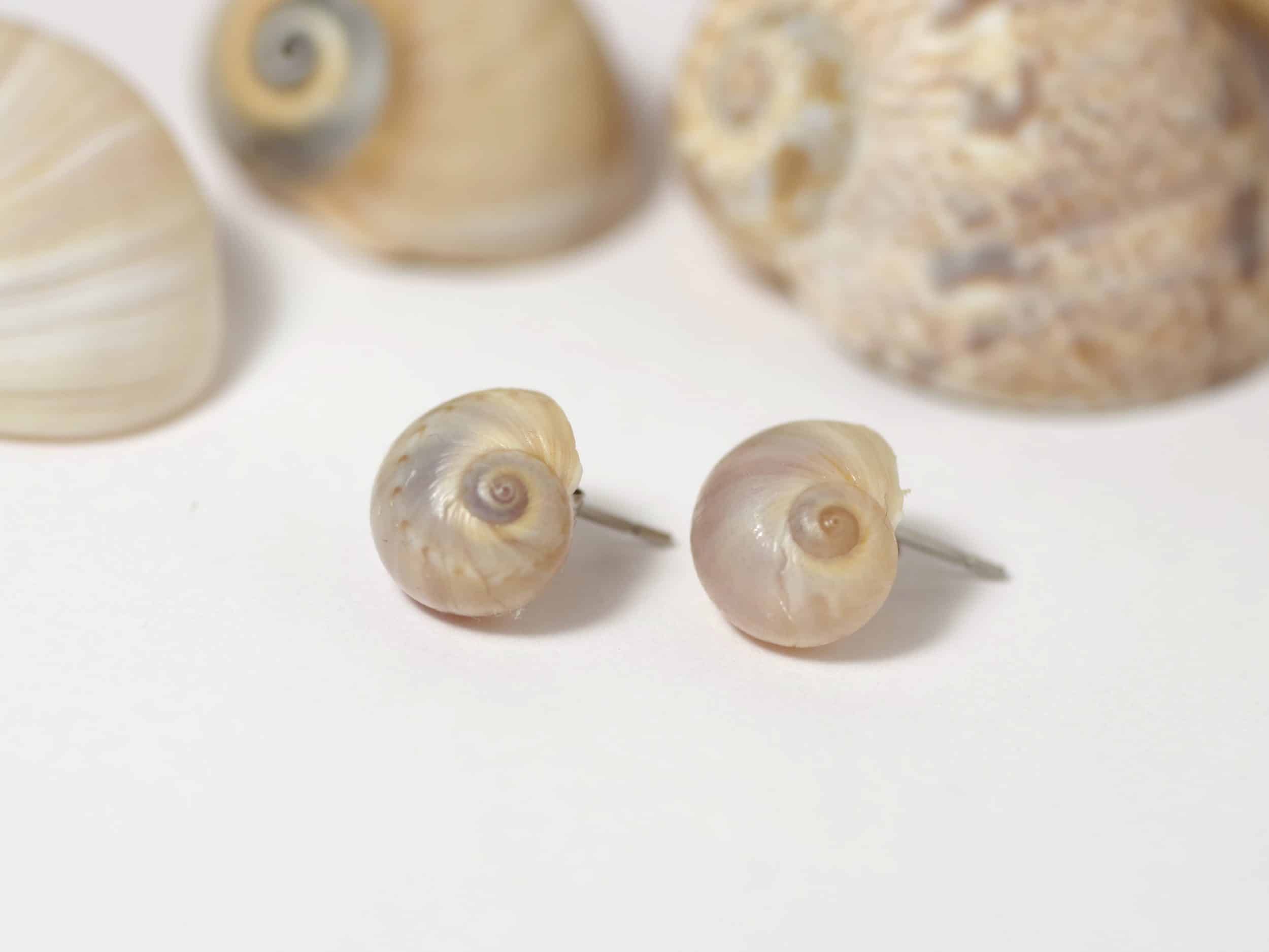 Puces d'oreille Joséphine, jolis coquillages – Image 5