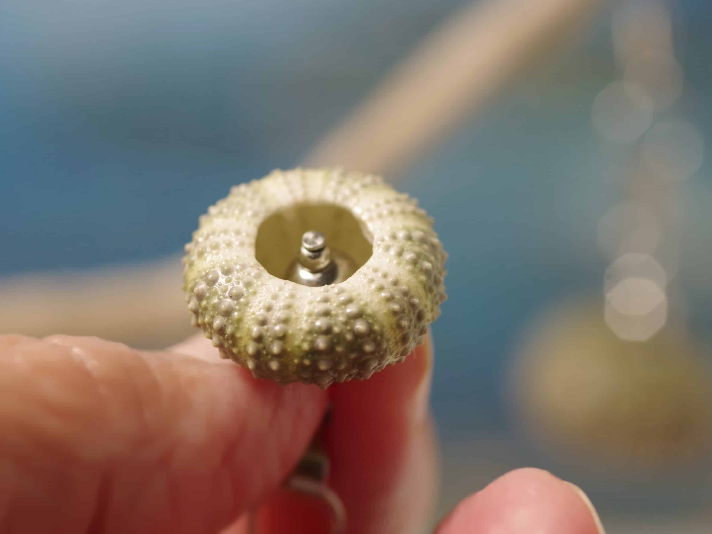 Boucles d'oreilles oursins et inox Arielle – Image 8