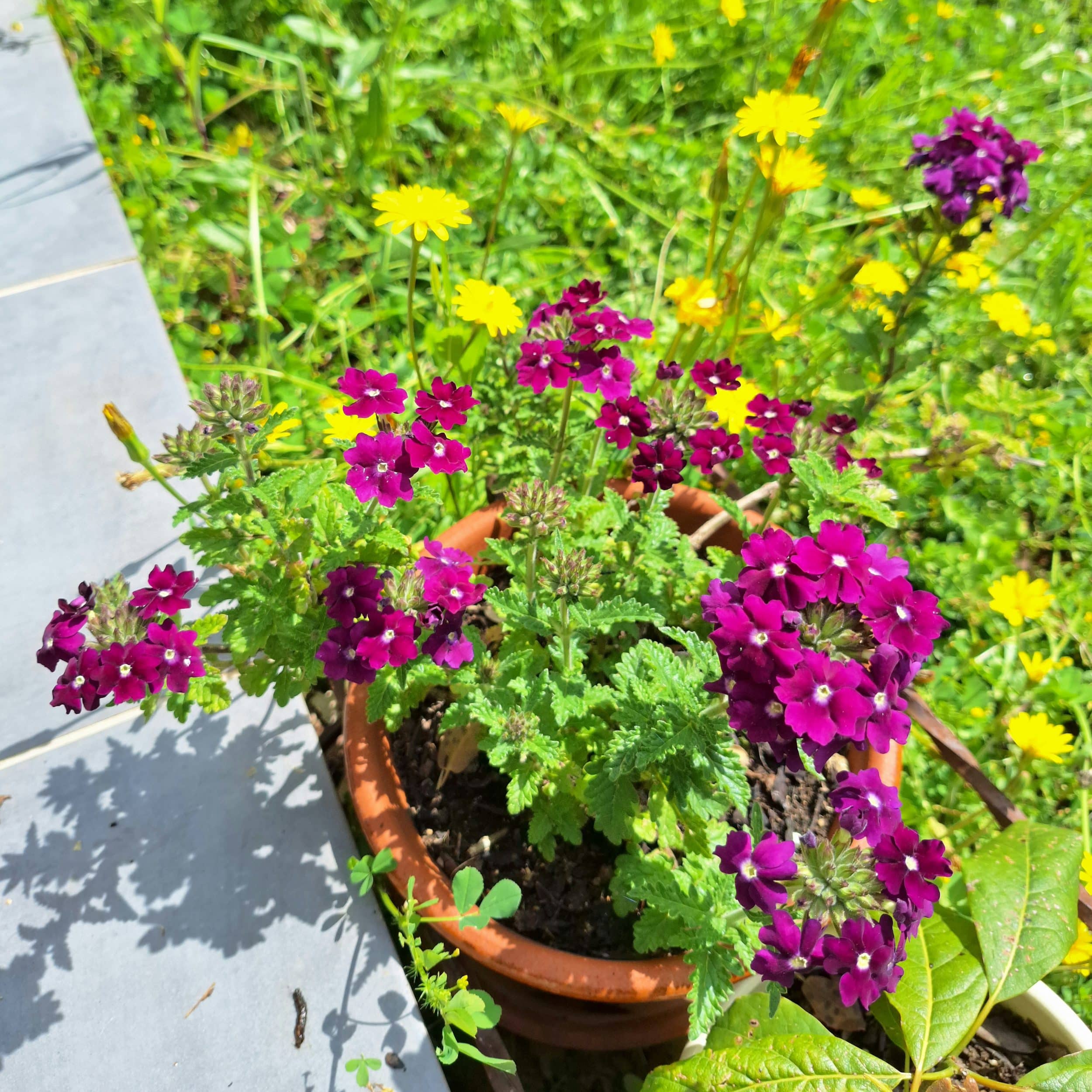 Collier Sylphide, composition de fleurs – Image 6