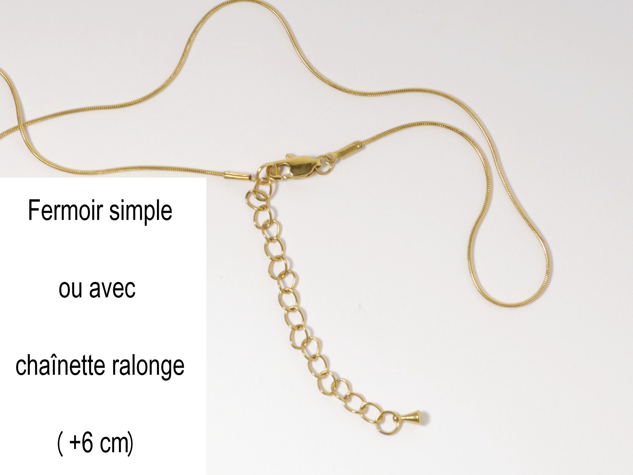 Collier Calosoma, petit scarabée – Image 7