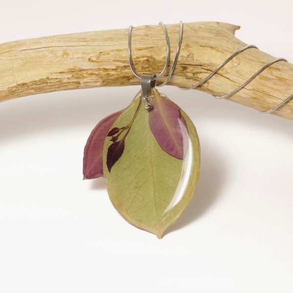 Un pendentif réalisé avec plusieurs feuilles d'eucalyptus, vert et rouge (pourpre)